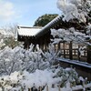 雪の日(東福寺3)