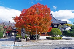 秋の散歩道(阿弥陀寺)