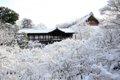 雪の花(東福寺)