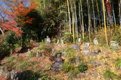 藪羅漢(白沙村荘-5)