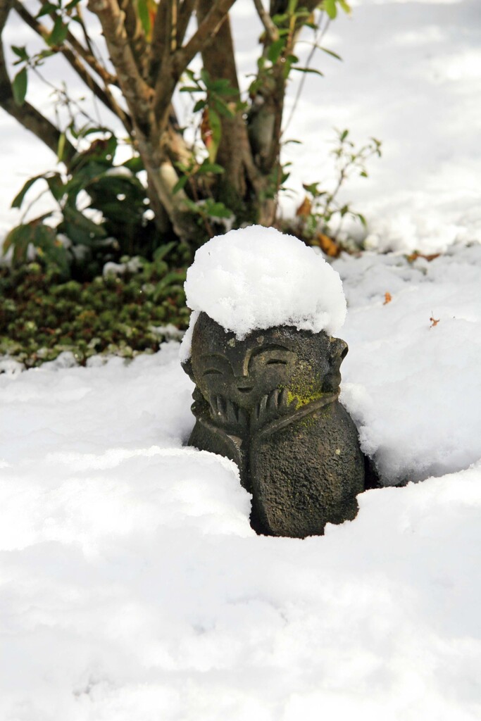 穏やかに(園光寺14)