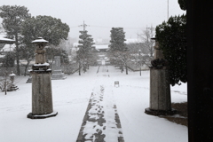 吹雪(妙顕寺-2)