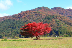 紅葉の頃(丹波町付近)