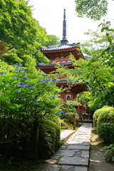 梅雨の晴れ間(三室戸寺)