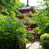 梅雨の晴れ間(三室戸寺)