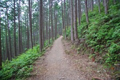 熊野古道(中辺路)