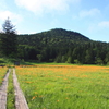 夏の思い出(大江湿原)