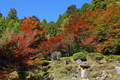 紅葉の頃(常照皇寺)