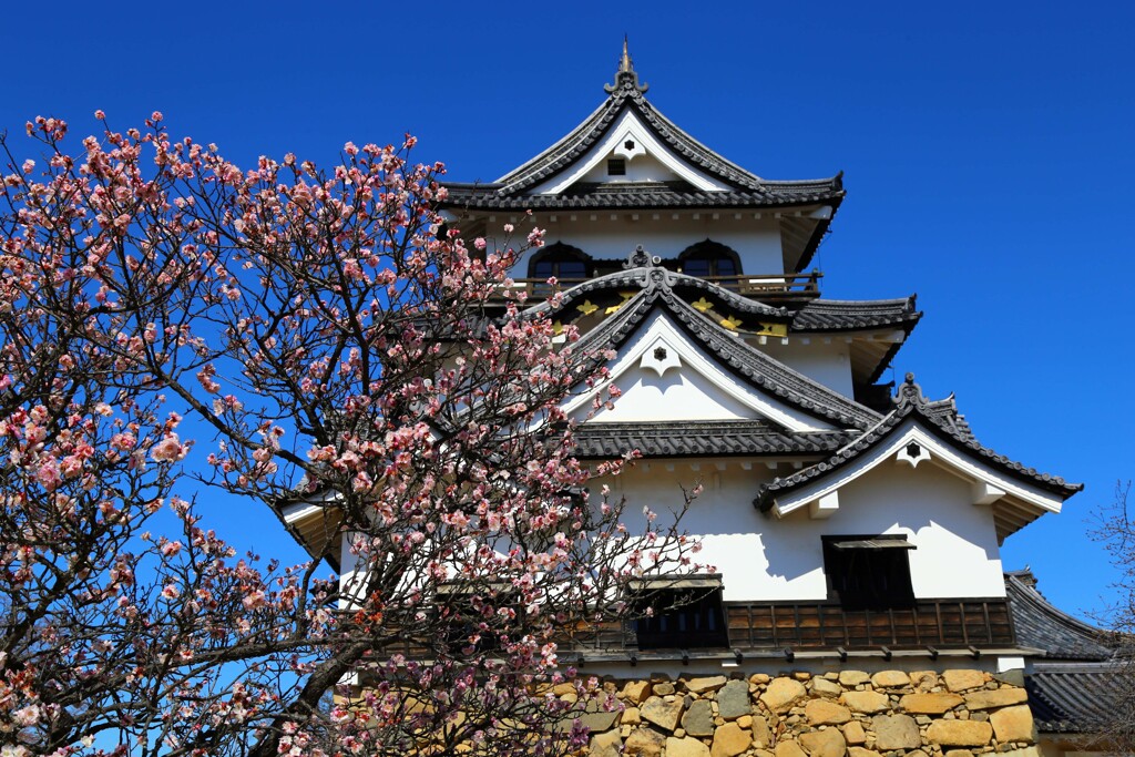 彦根城2016
