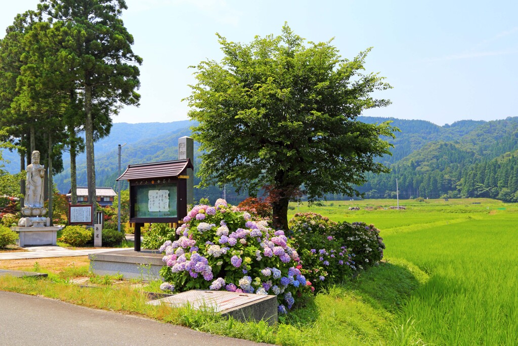 余呉(全長寺)2018