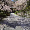 徳音寺2018