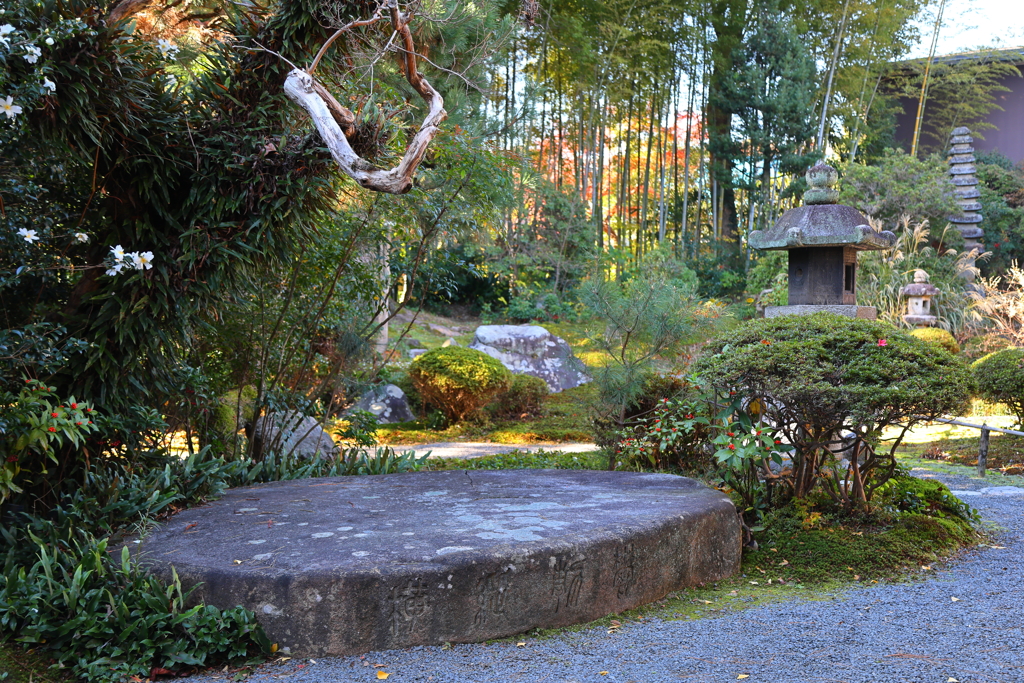 大鞍馬石(白沙村荘-4)