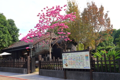 台湾紀行(檜意森活村-2)
