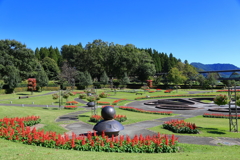 とっとり花回廊-3