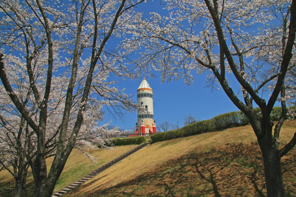 稲荷山公園2014-3