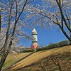 稲荷山公園2014-3
