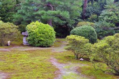 聖護院(庭にうさぎ)