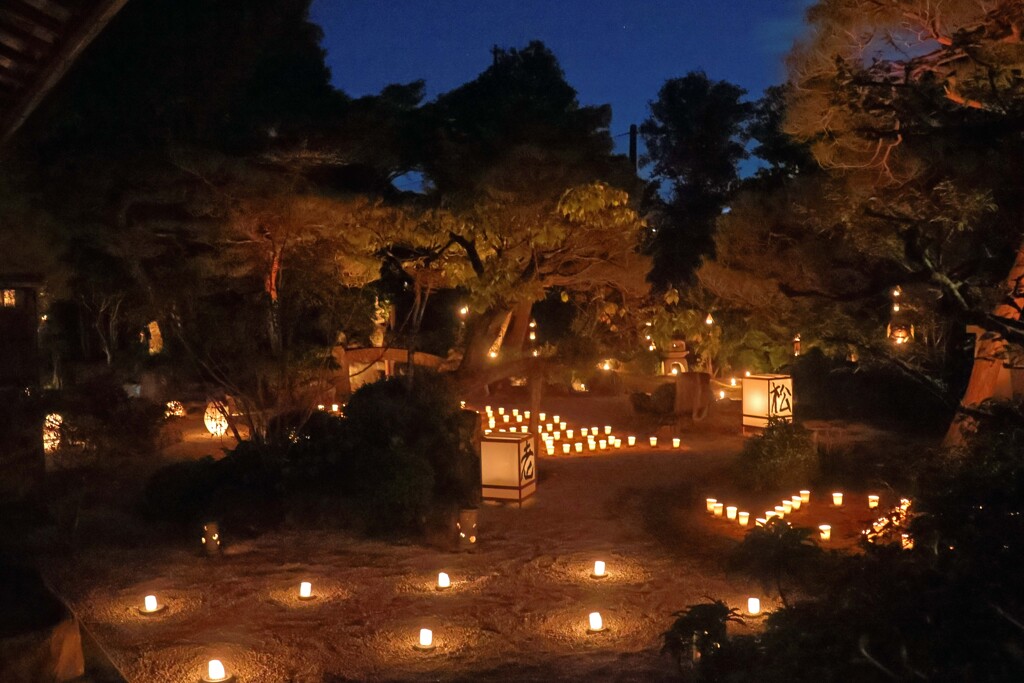 梵燈のあかり(妙心寺東林院-2)