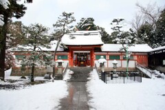 雪の日(大元宮2015)