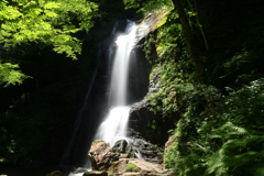 宇津江48滝(王滝)