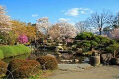 高島城公園2014-4