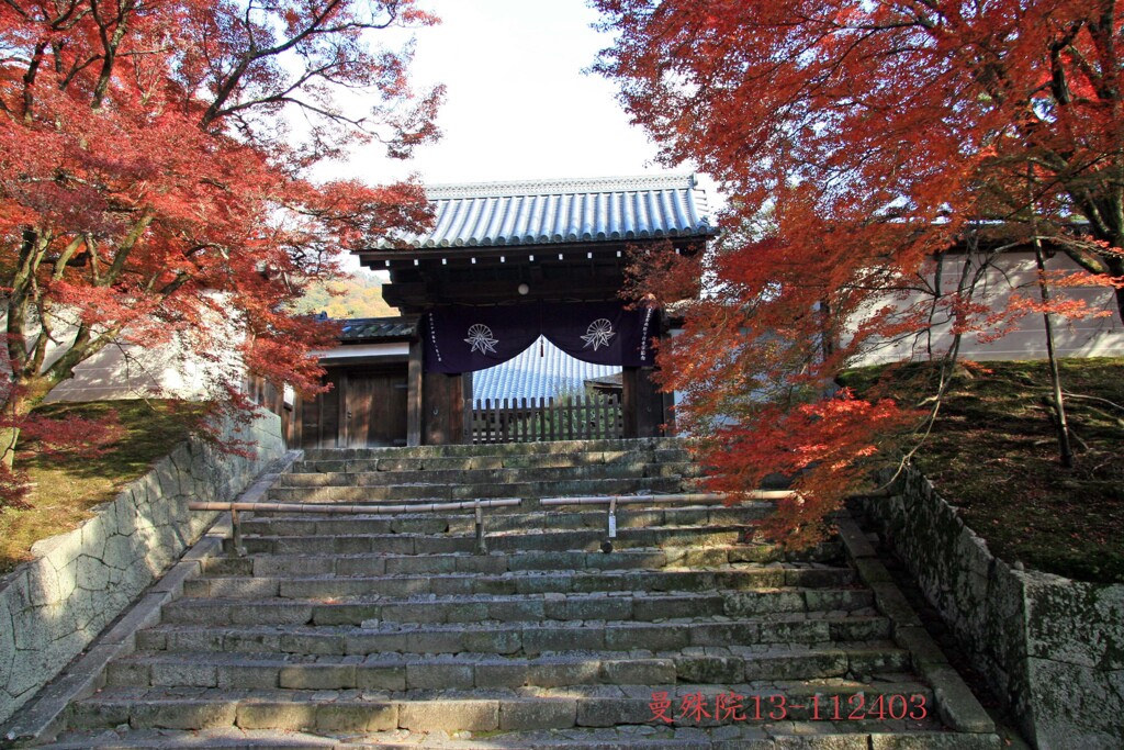 秋の散歩道(曼殊院門跡)