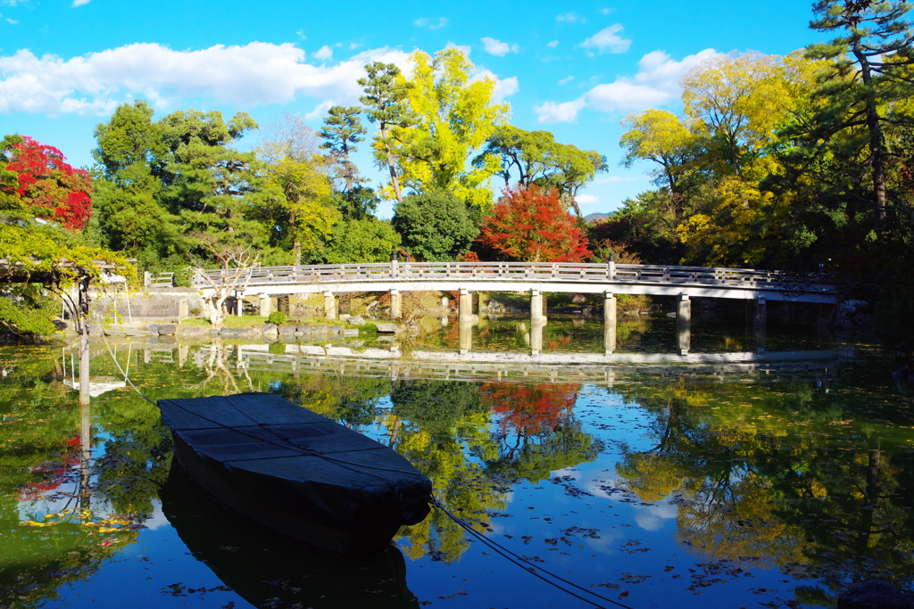 京都御苑九条池