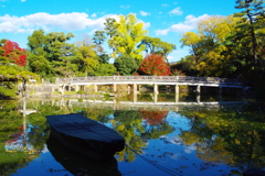 京都御苑九条池