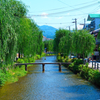 三条白川2021