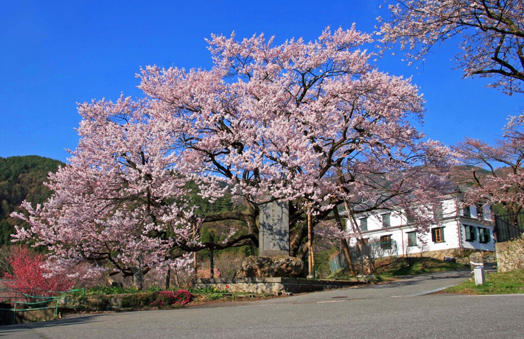 須坂2014
