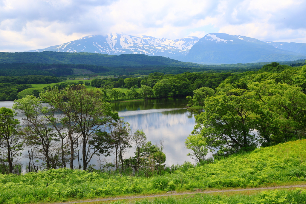冬師湿原