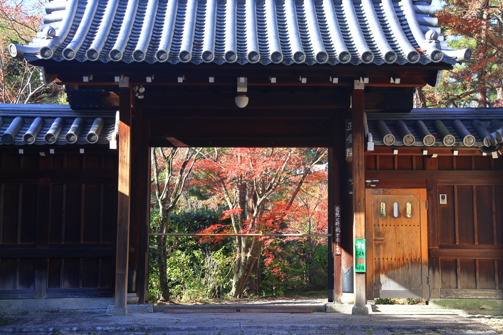 晩秋(大徳寺正受院)