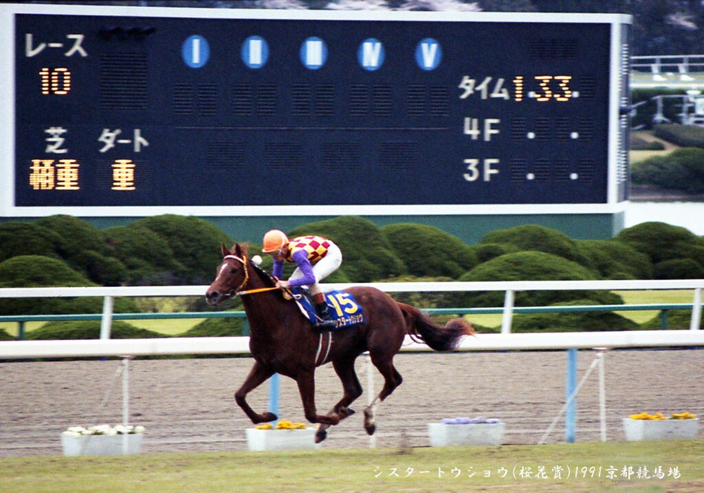 桜花賞(1991)