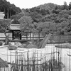トイカメラ(園光寺2014)