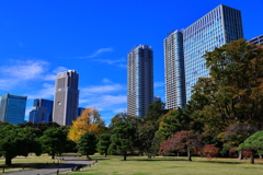 ビルと庭園(浜離宮)