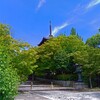 試し撮り(真如堂2)