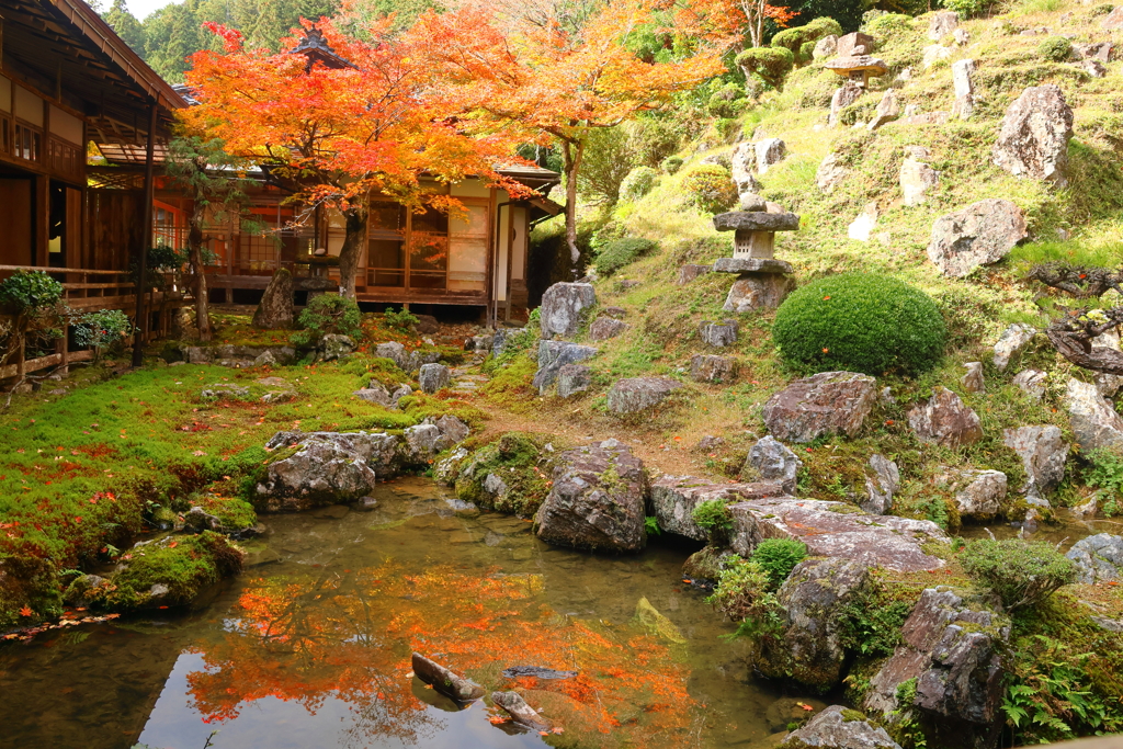 水面に移る(常照皇寺)