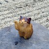 聖護院(庭園と猫)