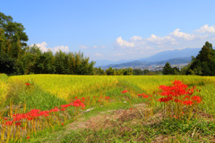 葛城古道