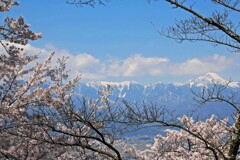 光城山2014