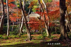 秋の散歩道(祇王寺)