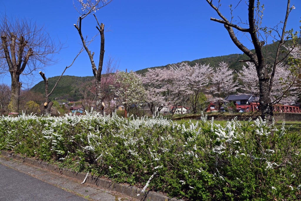 宮ノ越2018