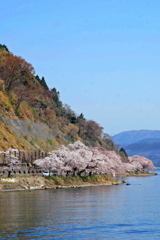 海津大崎2011-2