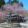 春がいっぱい(善峯寺)