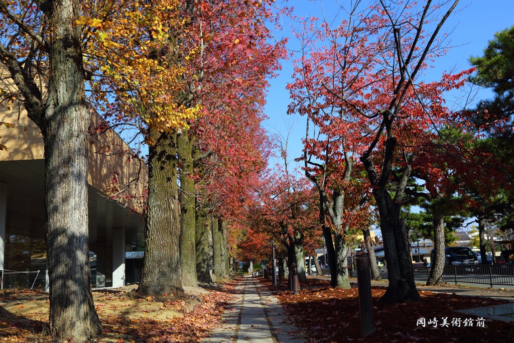 旧岡崎美術館前(19-1117)