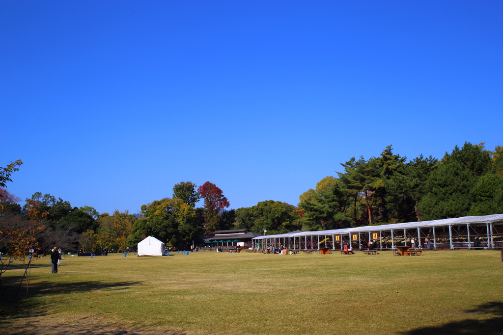 青空の下で(植物園)