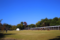 青空の下で(植物園)