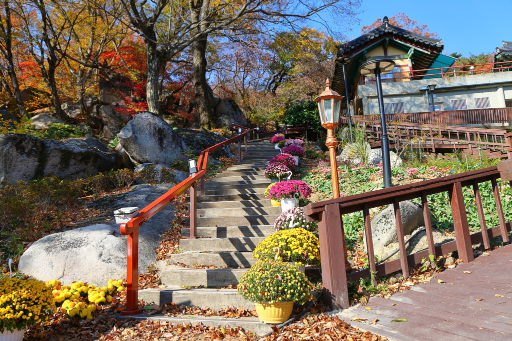 Korea紀行(釜山梵魚寺-6)