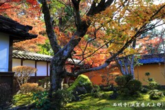西明寺2016-2