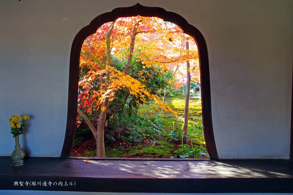 特別拝観(興聖寺-2)